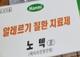 알레르기 비염에 좋은 영양제