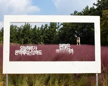 익산 천만송이 국화축제_17