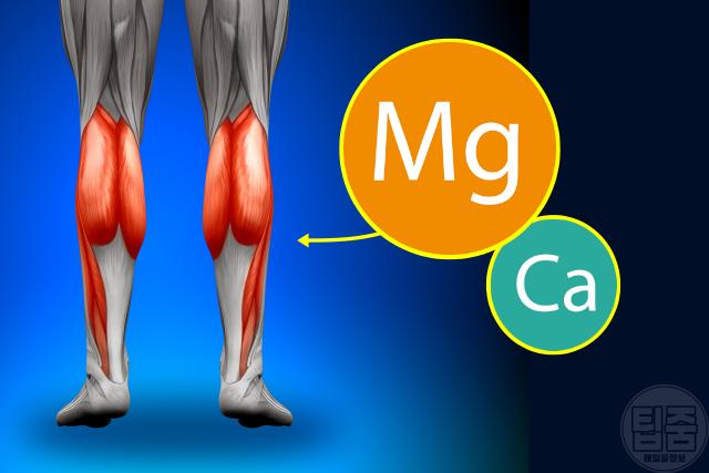 근육 뭉침 원인 마그네슘 결핍