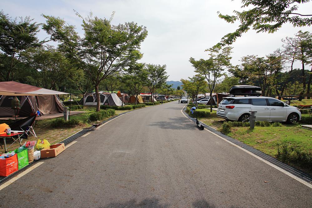 충청남도 금산군 인삼골오토캠핑장 소개