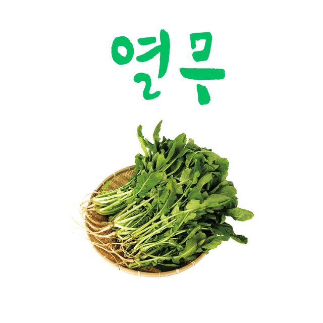 열무 효능