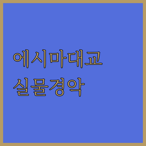 일본 에시마 대교 가는 법 주변 맛집..
