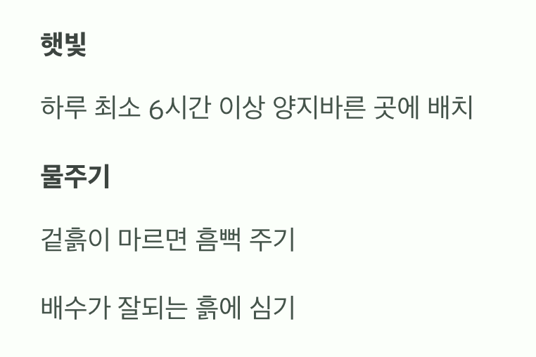 햇빛과 물&amp;#44; 가장 기본적인 관리