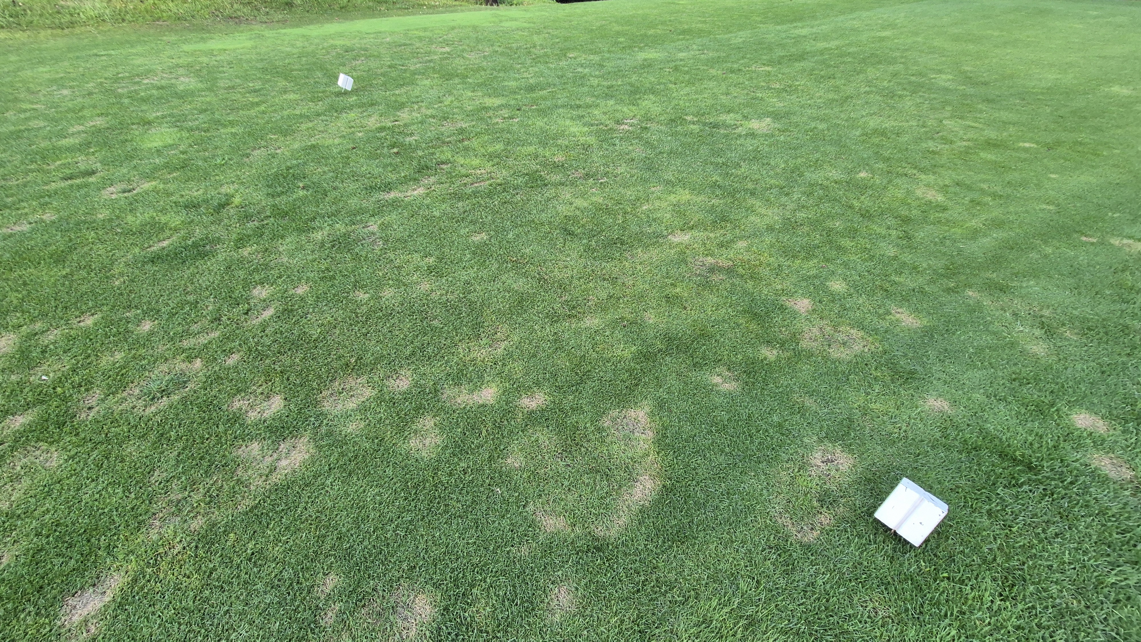 마론cc 라운드 후기