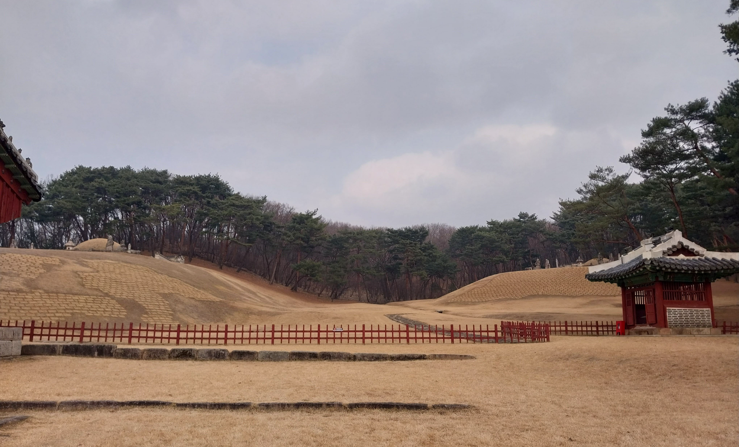 슬픈 사연이 담긴 문종과 현덕왕후의 현릉 사진