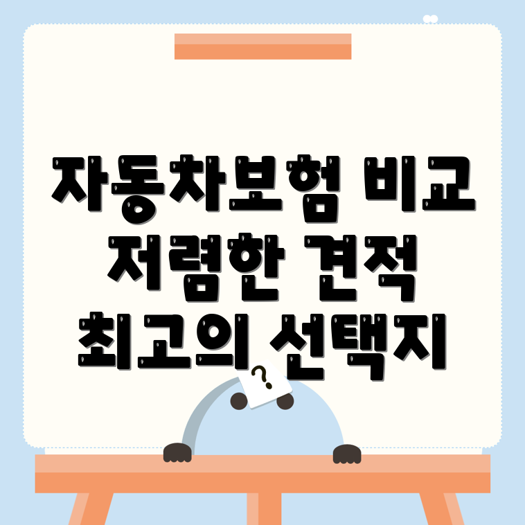 대구 자동차보험