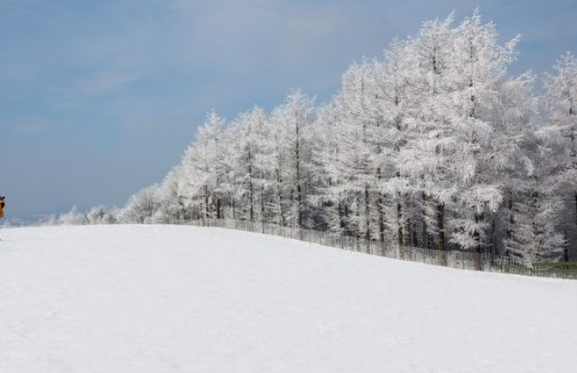 1월 강원도 가볼만한곳 ❘ 국내 겨울 갈만한곳 새해 여행지 추천 ❘ 데이트 여행 가족 실내 나들이 당일치기