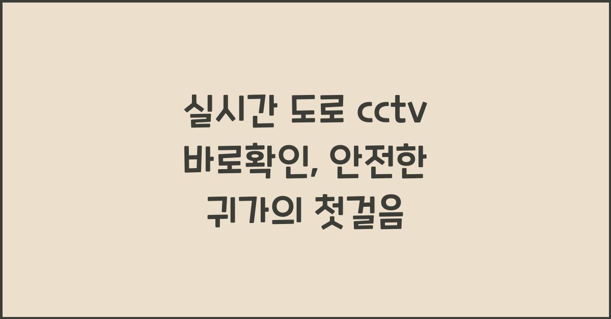 실시간 도로 cctv 바로확인