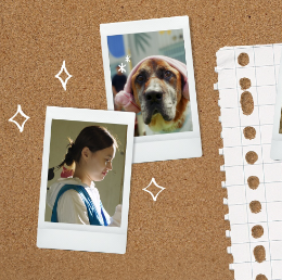 카카오톡 pc 버전 다운로드