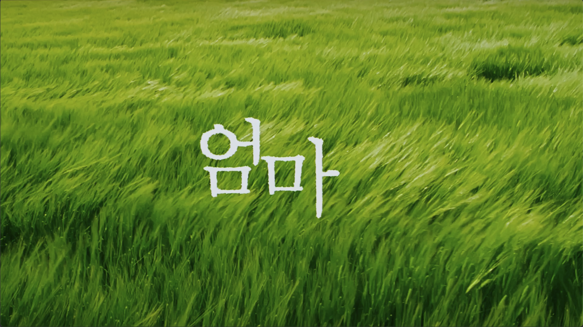 엄마