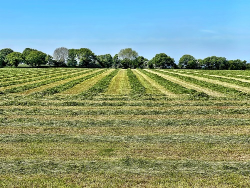 토지대장-무료-열람-및-발급하는-방법