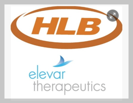 HLB 이미지