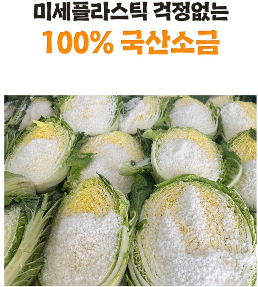 해남절인배추