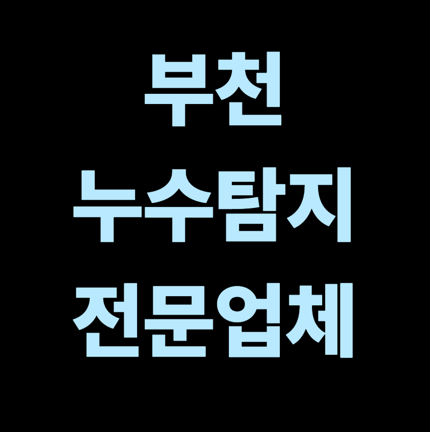 부천시 누수탐지 전문업체