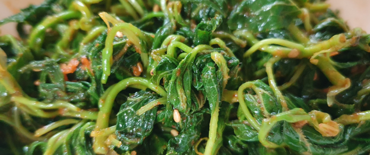 다래순 나물 무침1