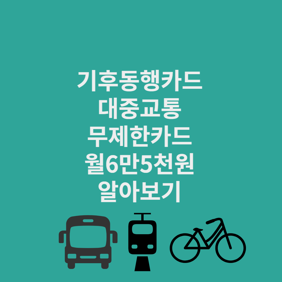 기후동행카드 대중교통 무제한 카드 월 6만5천원