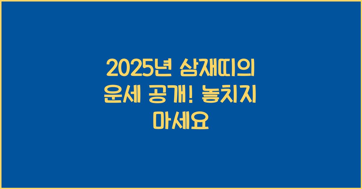 2025년 삼재띠