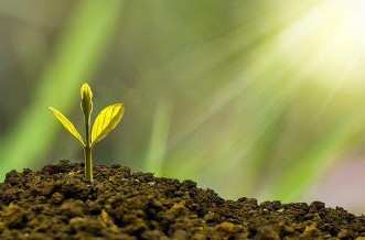 국민연금 수령액 알아보기