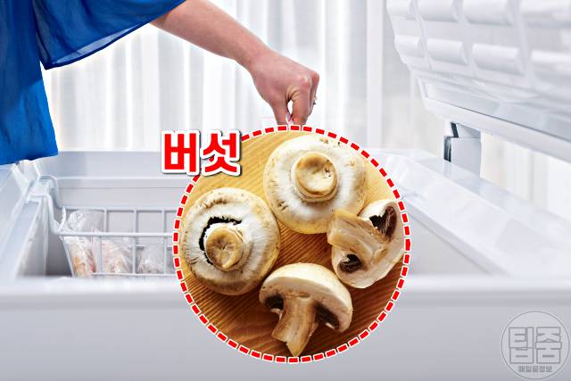 버섯 김치냉장고 보관하면 좋은 음식품,팁줌