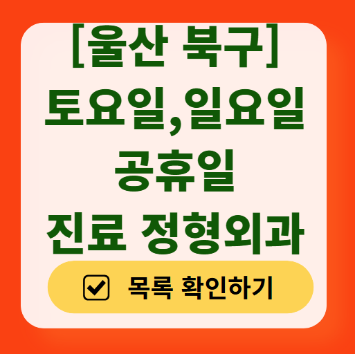 울산 북구 일요일 문 여는 정형외과 리스트 ❘ 토요일, 주말, 공휴일 진료 영업 병원 목록 찾기