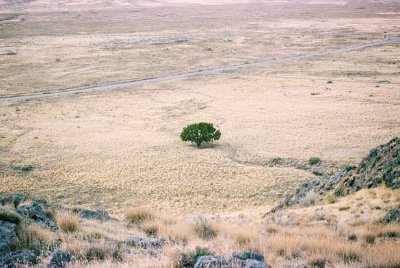 식품 사막화 현상과 도시 사회의 건강 불평등 문제