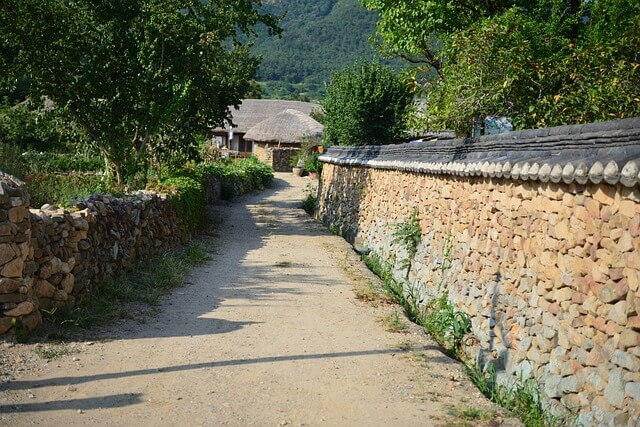 순천 벚꽃과 미식을 함께, 당일 여행
