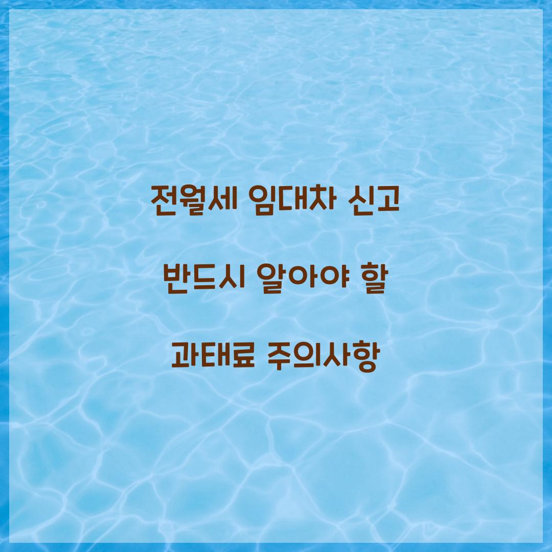 전월세 임대차 신고