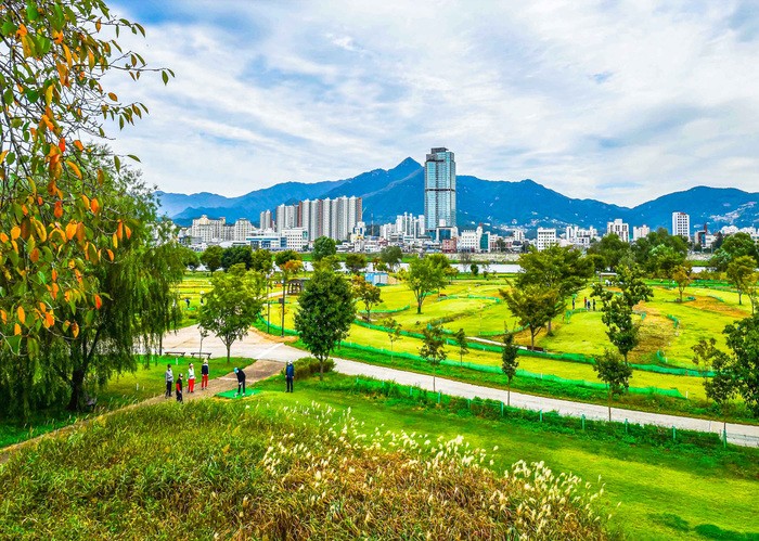 양평파크골프장 63홀 + 양평장애인파크골프장 18홀