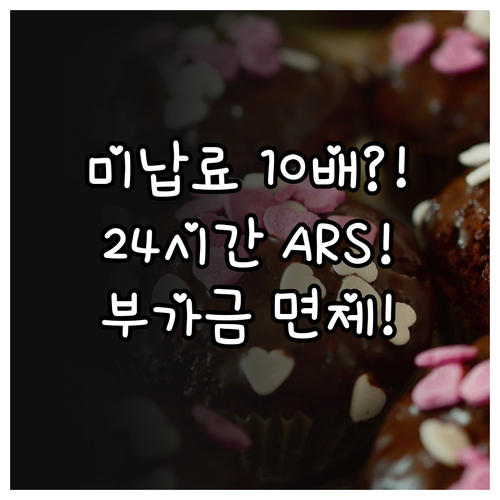 미납 통행료 10배 부가금 피하는 법..