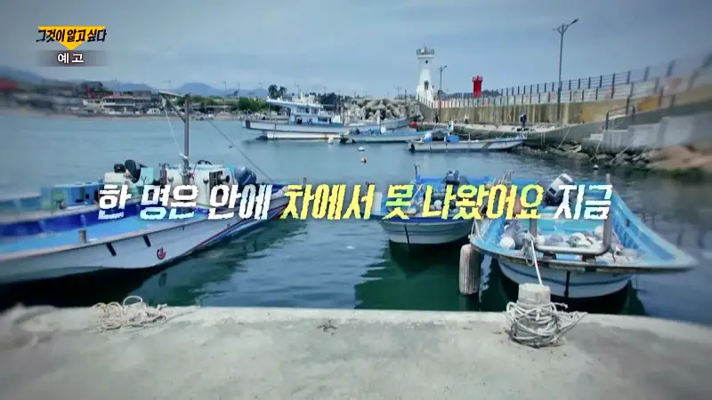 그알 그것이알고싶다 1312회 부산 동백항 고의 차량추락 혼자 산 보험 살인혐의 친오빠 숨진채 발견 동거녀 구속 미스테리 제2의 가평 이은해인가