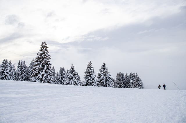 설날 가볼만한 곳