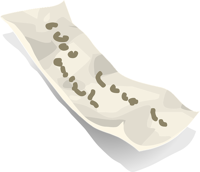 현금영수증 조회