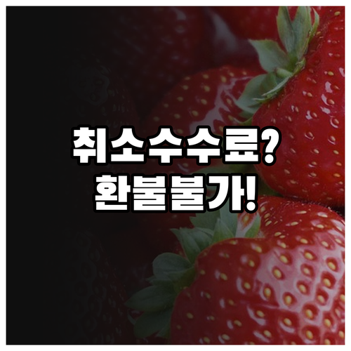 청도항공 취소 수수료, 특가 운임은 ..