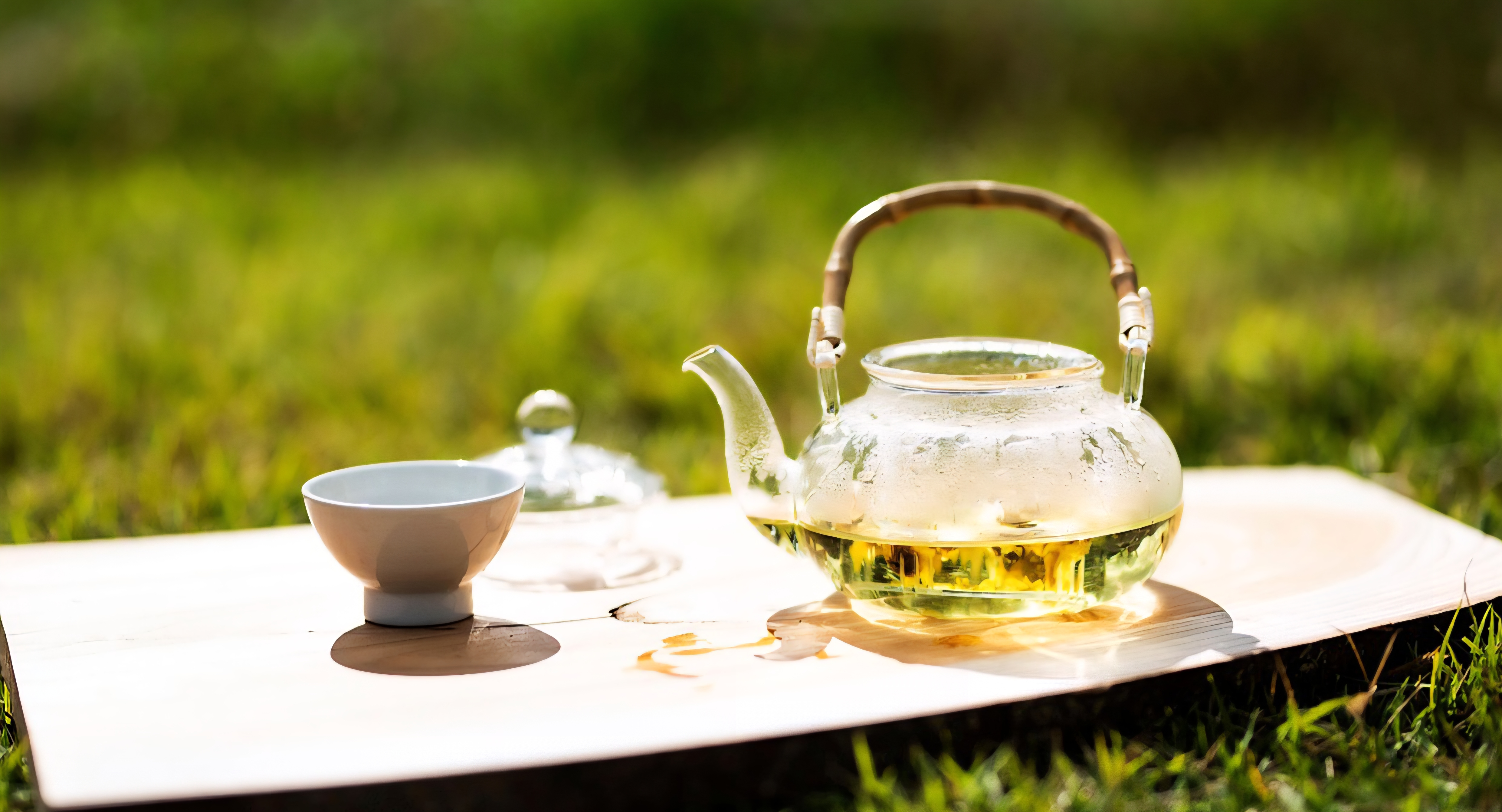 정원에서 즐기는 따뜻한 허브차 한 잔