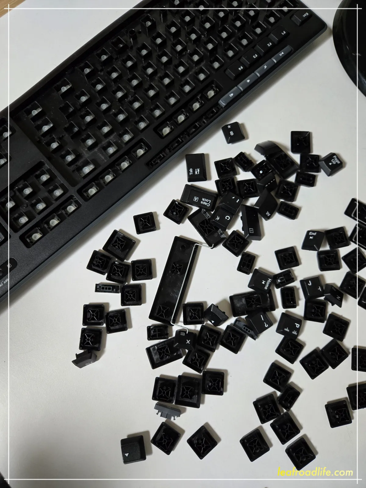 키보드-버튼-뽑고-말리는-사진