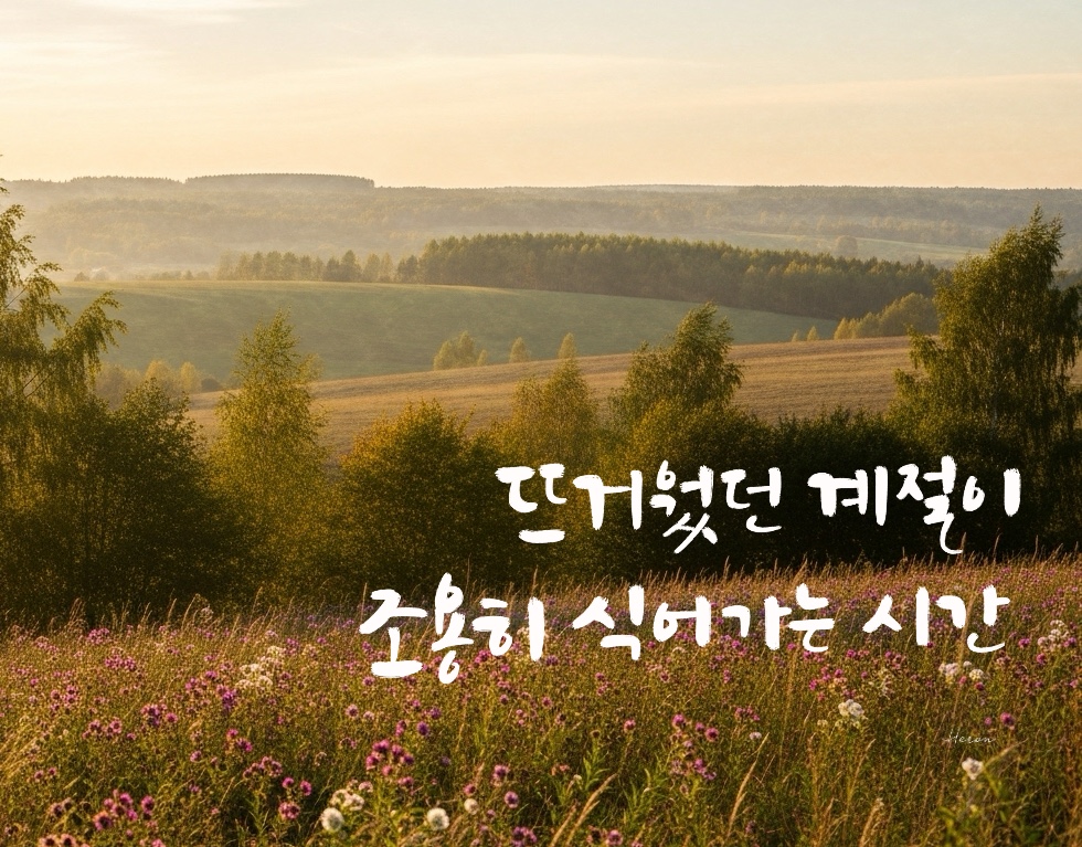 8월 감성 캘리그라피 글귀 모음(30개) - 여름의 끝자락에서 마음을 적시는 문장들