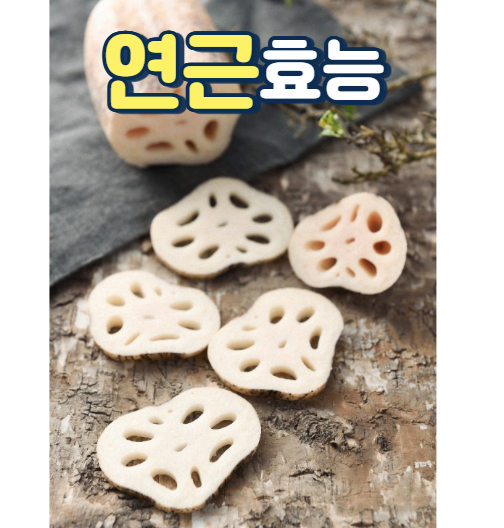 연근 효능