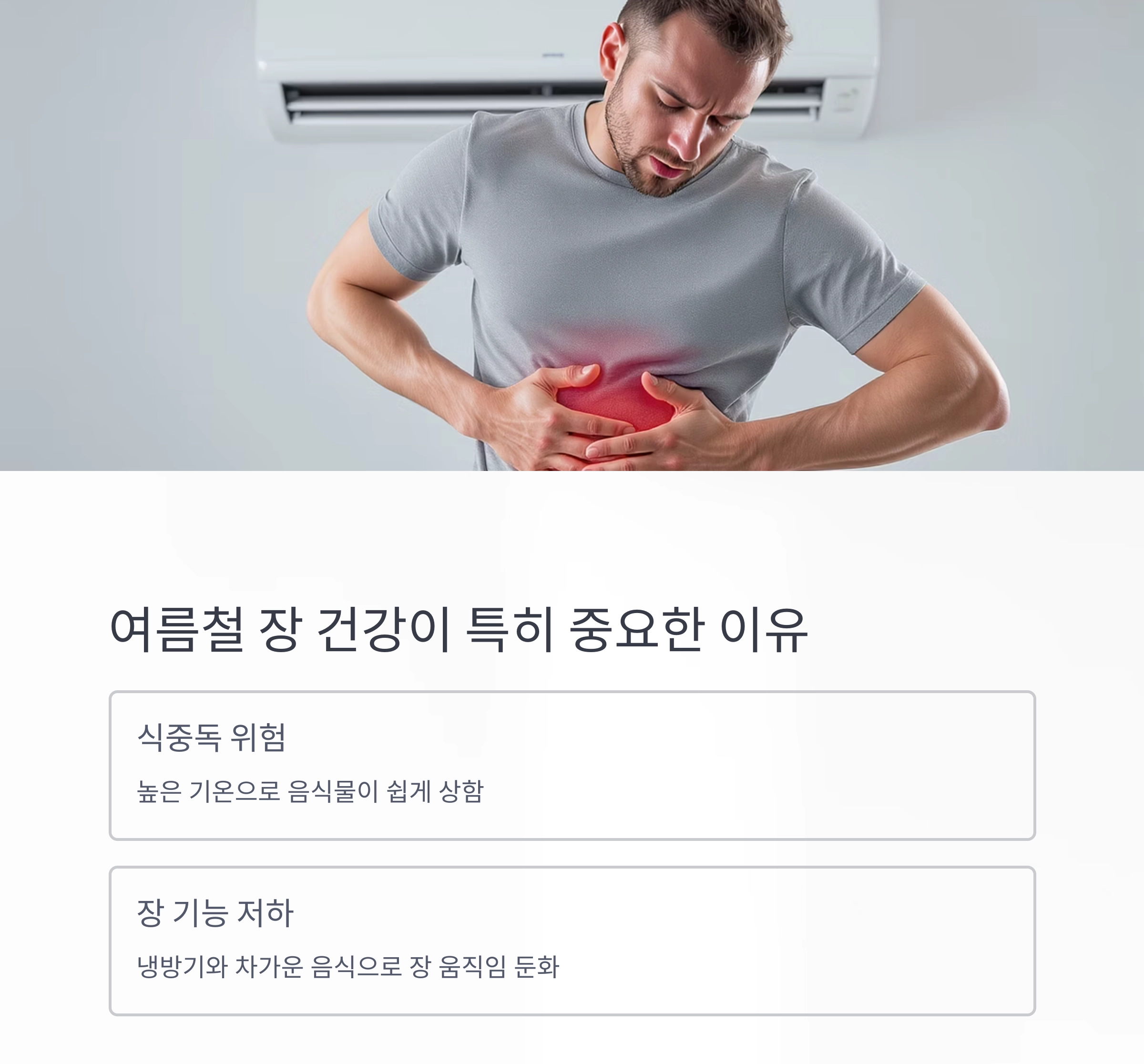 장 건강 지키는 여름철 프로바이오틱스 식단 비법