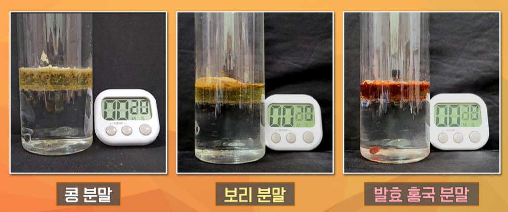 발효 홍국 효능