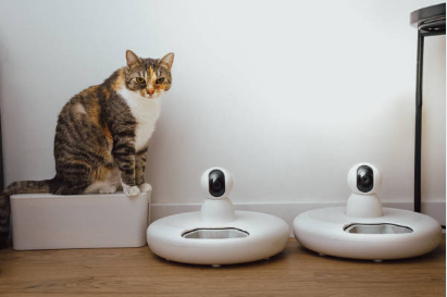 smart pet feeder wifi