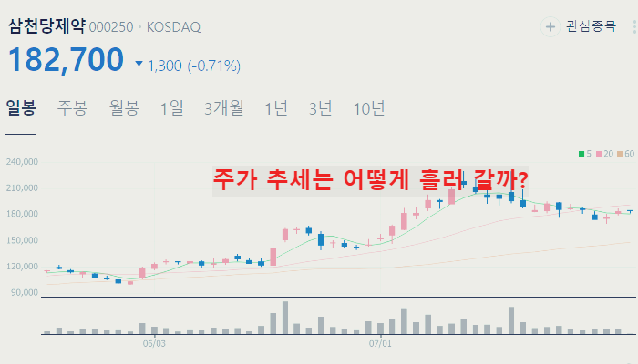 비만치료제 관련주 대장주 테마주 수혜주 TOP5 : 경구용