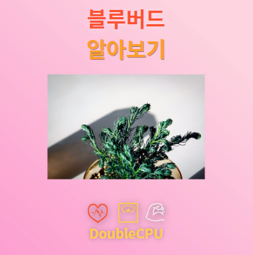 블루버드 탐구