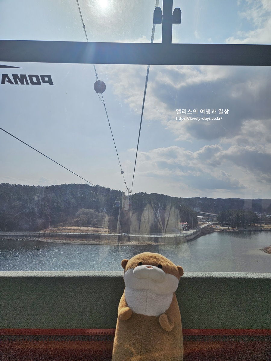 왕피천 케이블카 예약 가격 환급방법 탑승 후기 산책길 가볼만한곳