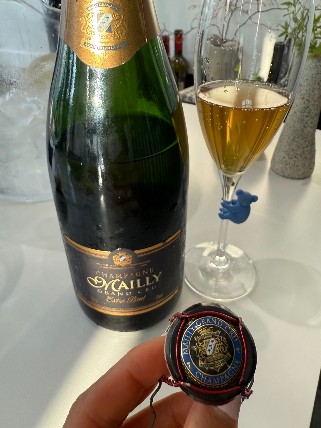 [France] Mailly Grand Cru Extra Brut, Montagne de Reims, Champagne｜마이 그랑 크뤼 엑스트라 브뤼, 몽타뉴 드 랭스, 샹파뉴