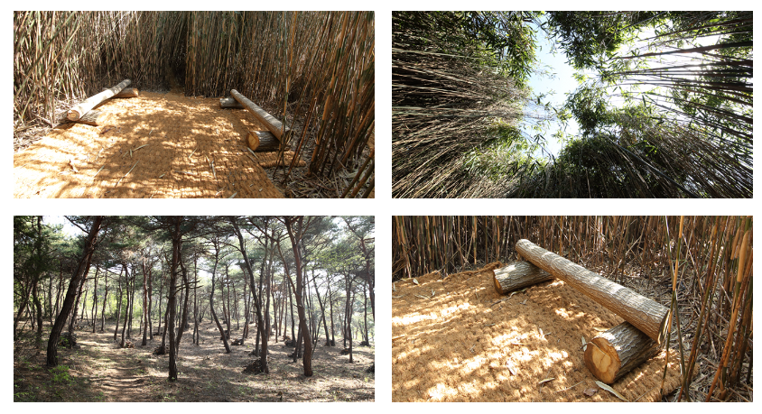 6월 축제 가볼만한 곳 (꽃축제)