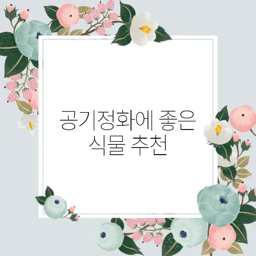 공기정화에 좋은 식물 추천