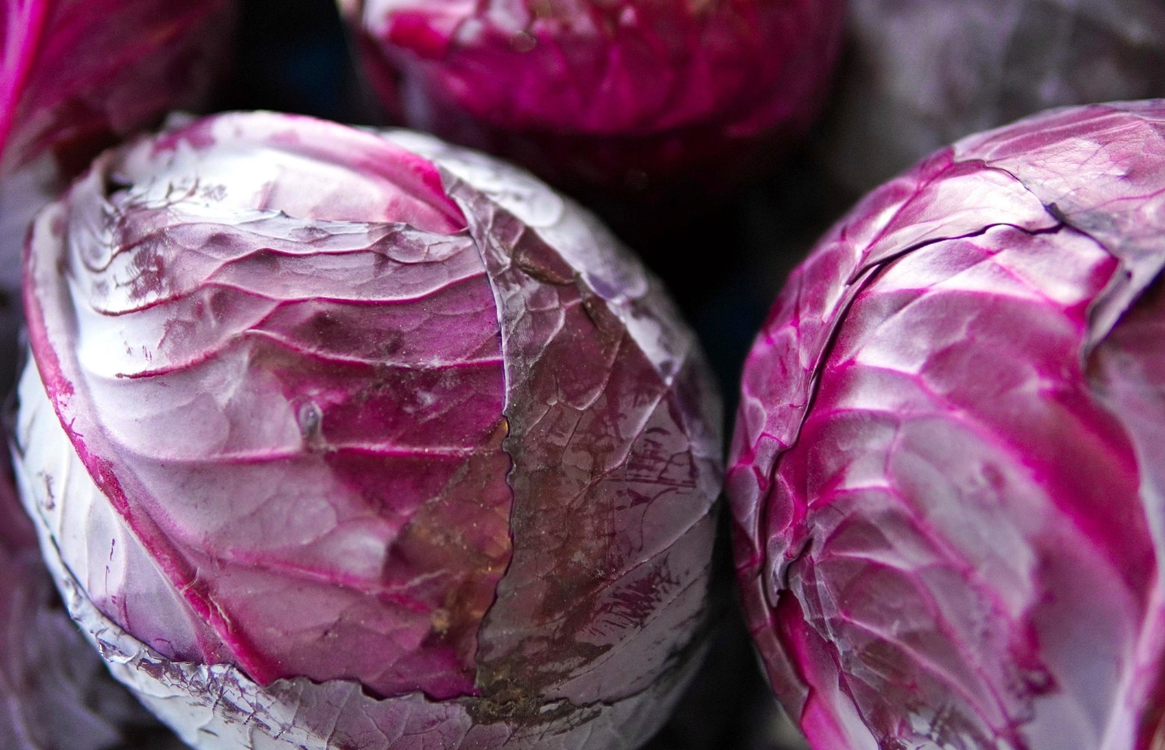 간이 지치면 &lsquo;대사 능력&rsquo;이 떨어지면 해독 시스템 붕괴!