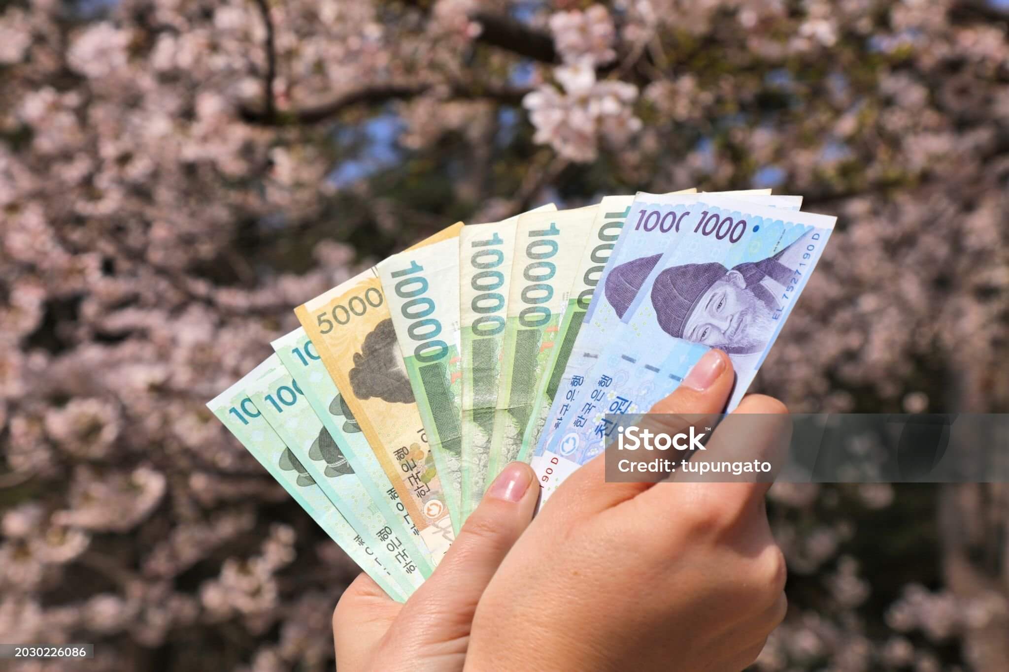 중장년 일자리 지원센터와 신청방법