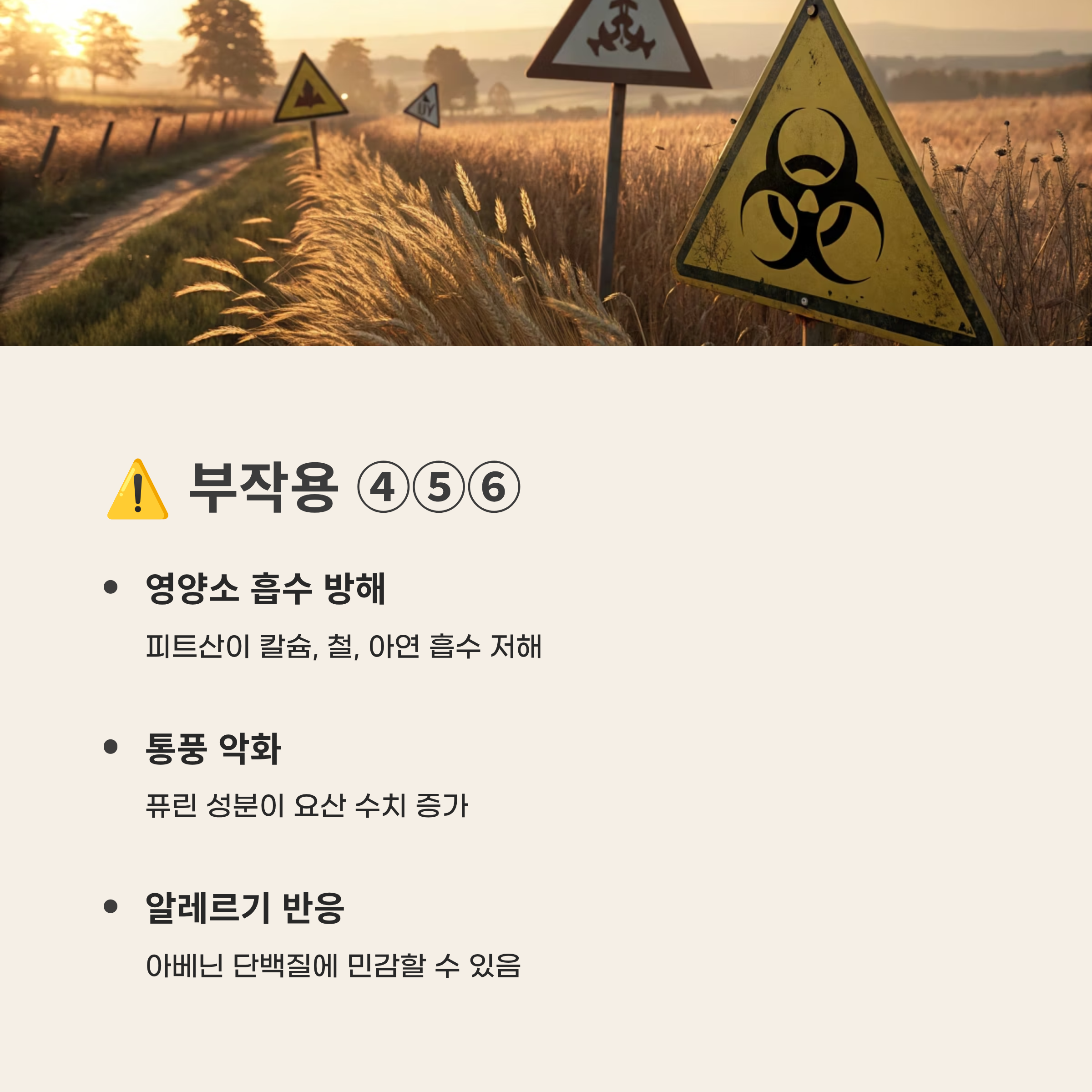 귀리 효능과 부작용 2025 완벽 가이드 – 슈퍼푸드 효능과 숨겨진 함정 총정리!