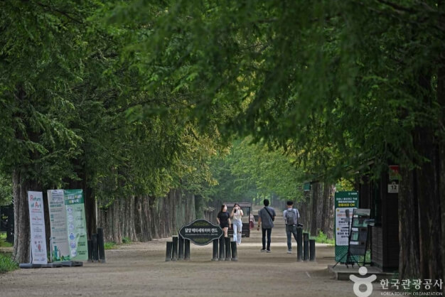 3월 국내 여행지 베스트 10